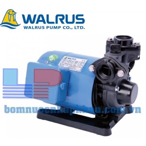 Máy bơm nước bánh răng đẩy cao Walrus TP325-1/2HP